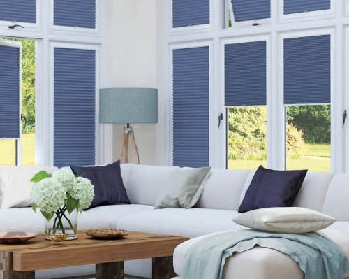 Pleated Blinds